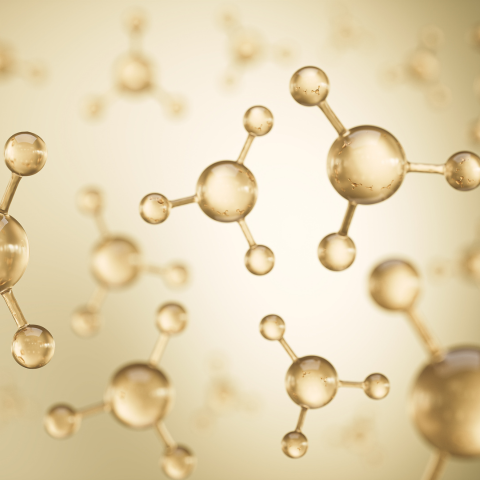 The Longevity Report: Inside The New Science of Cellular & Microbial Aging